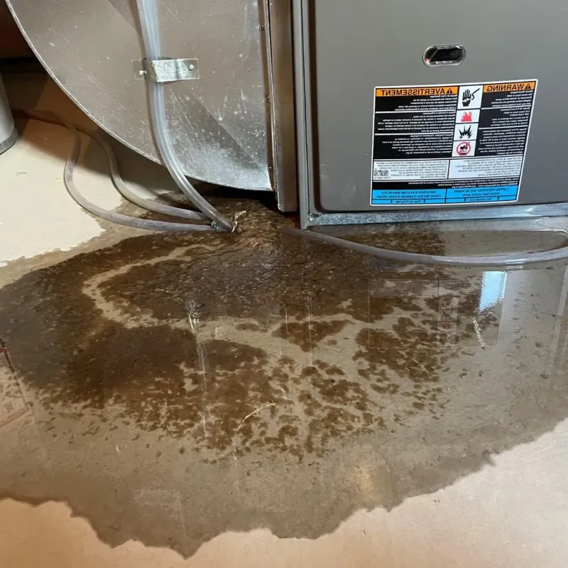 Pipe Burst and Leak Restoration in New London County, CT