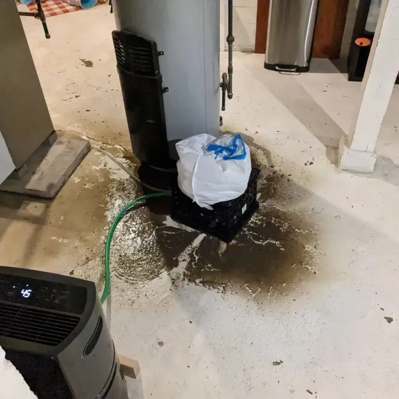 Sewage Backup Cleanup Service in New London County, CT